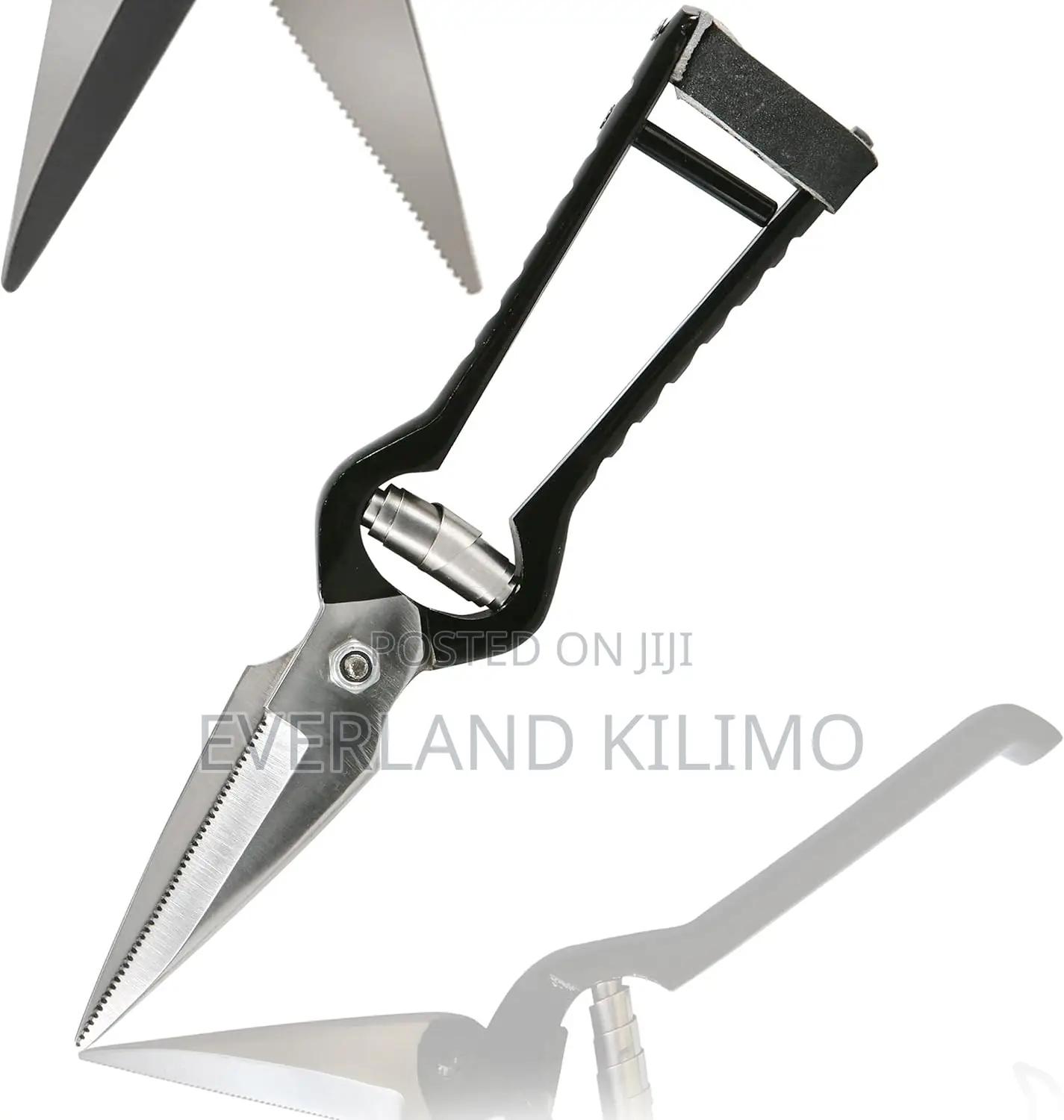 Hoof Foot Rot Shears