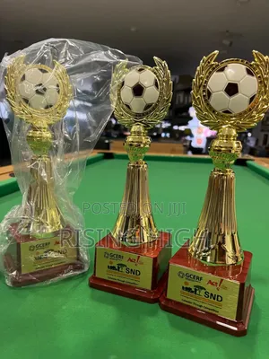 Amazing Trophy Awards