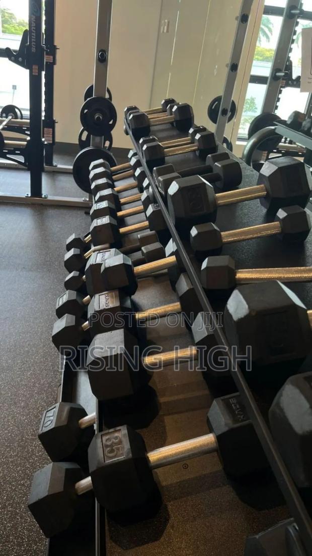 Official Hexagon Dumbbells - main view