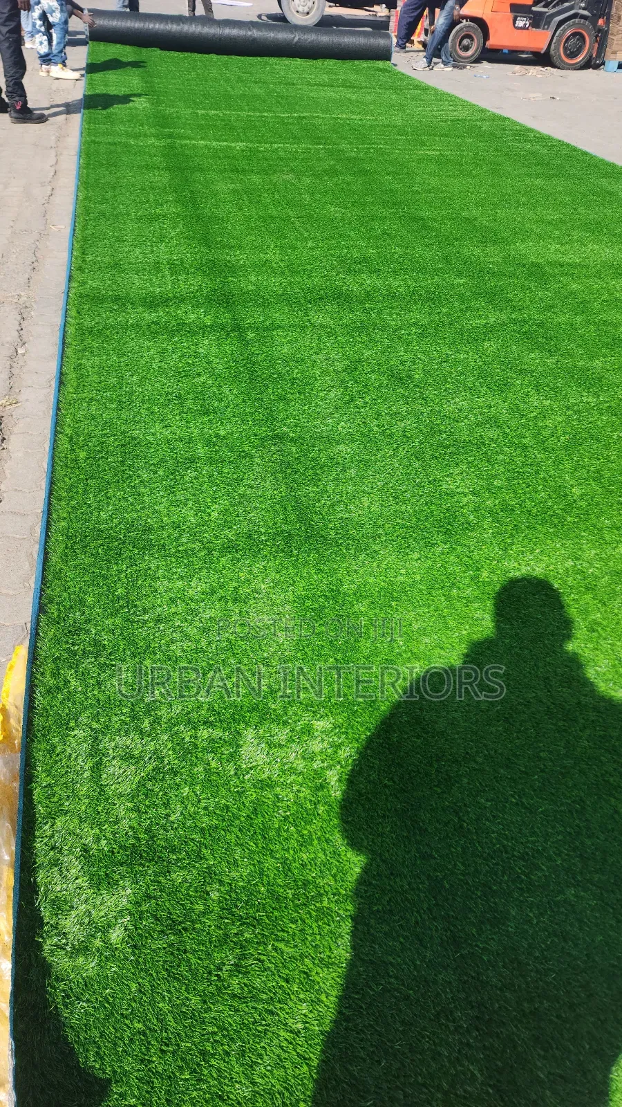 Grass Carpet Grass Carpet Grass Carpet Grass Carpet Grass