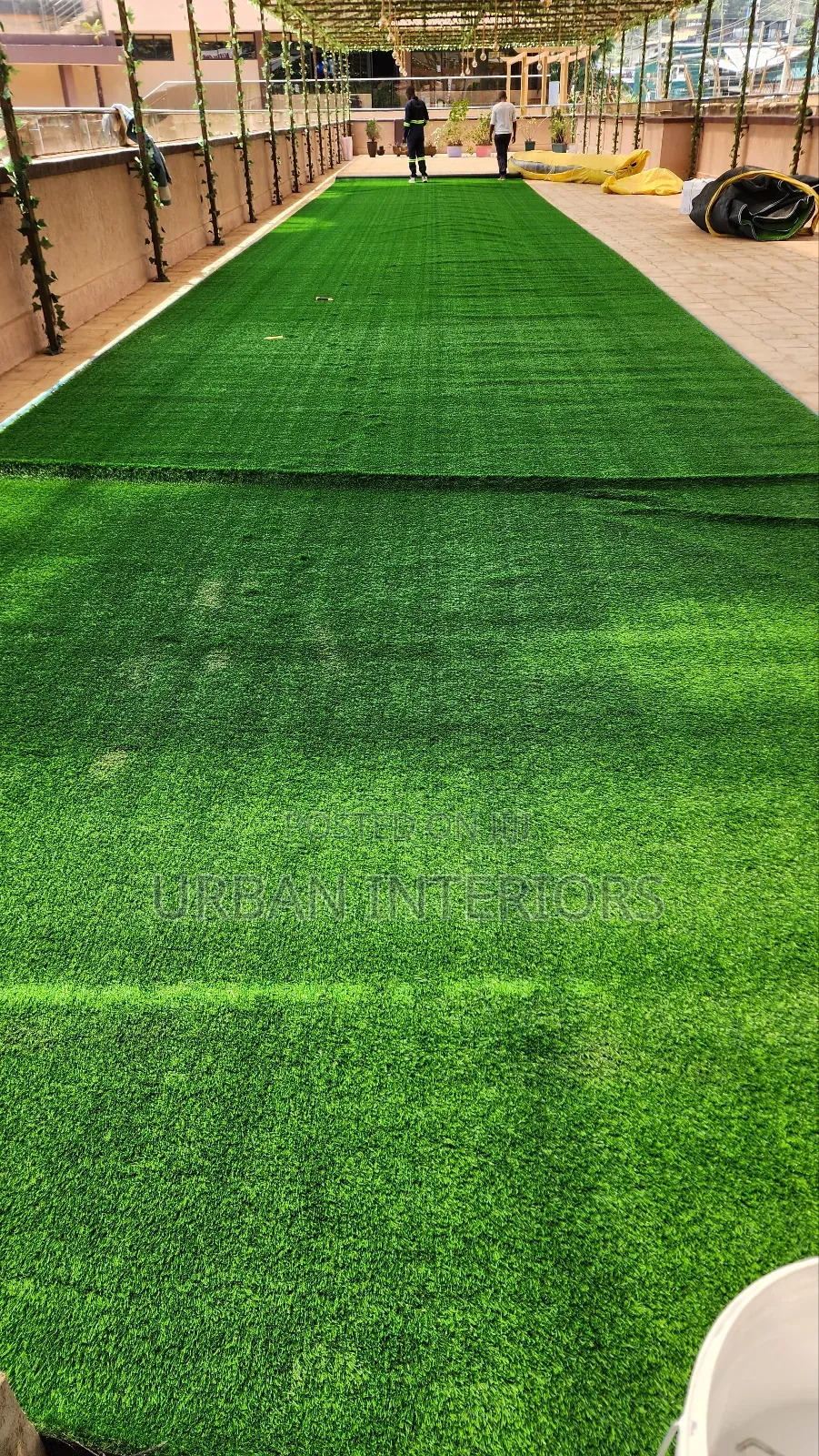 Grass Carpet Grass Carpet Grass Carpet Grass Carpet Grass