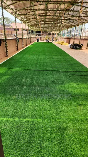 Grass Carpet Grass Carpet Grass Carpet Grass Carpet Carpet