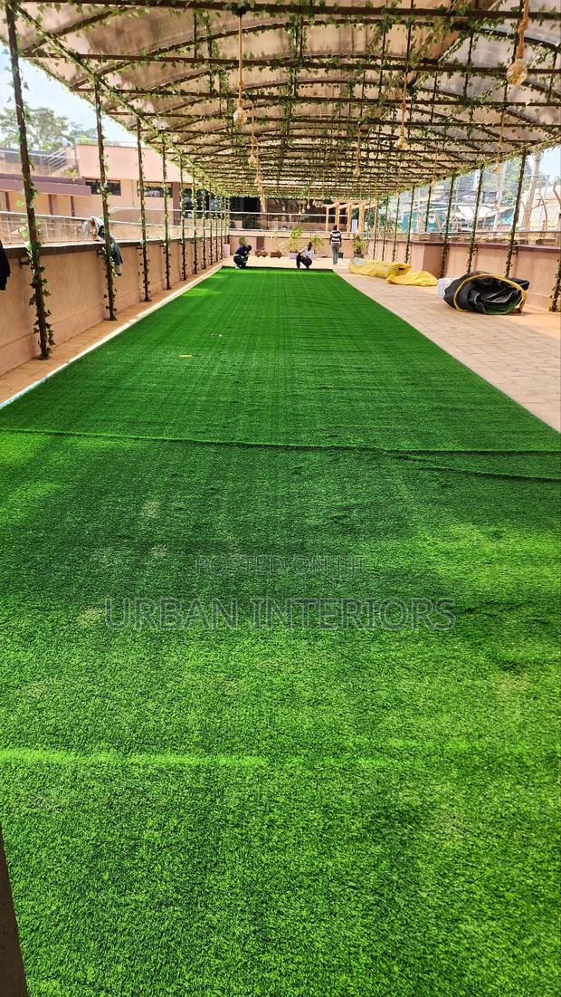 Grass Carpet Grass Carpet Grass Carpet Grass Carpet Carpet