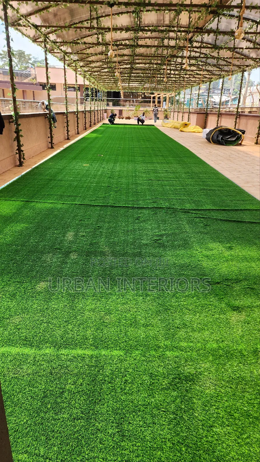 Grass Carpet Grass Carpet Grass Carpet Grass Carpet Carpet