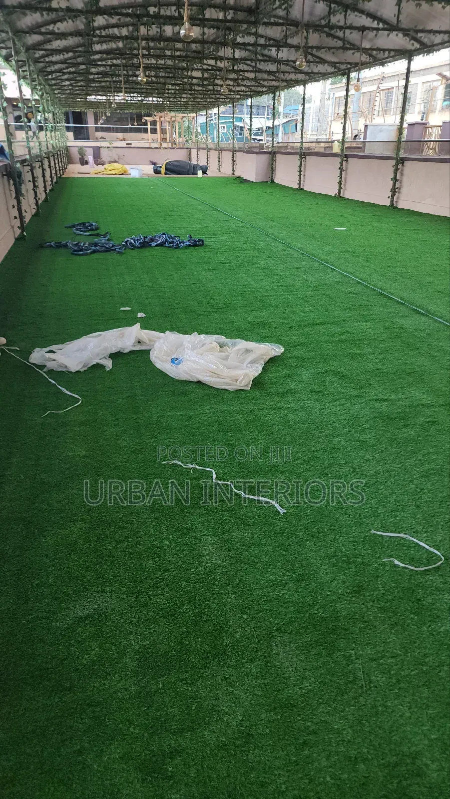 Green Carpet Green Carpet Green Carpet Green Carpet Carpet