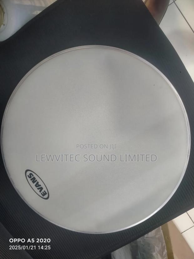 Evans 14 Inch Skin