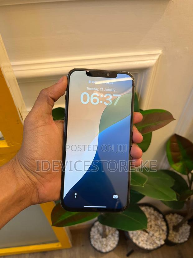 Apple iPhone 12 Pro Max 256 GB - thumbnail 2