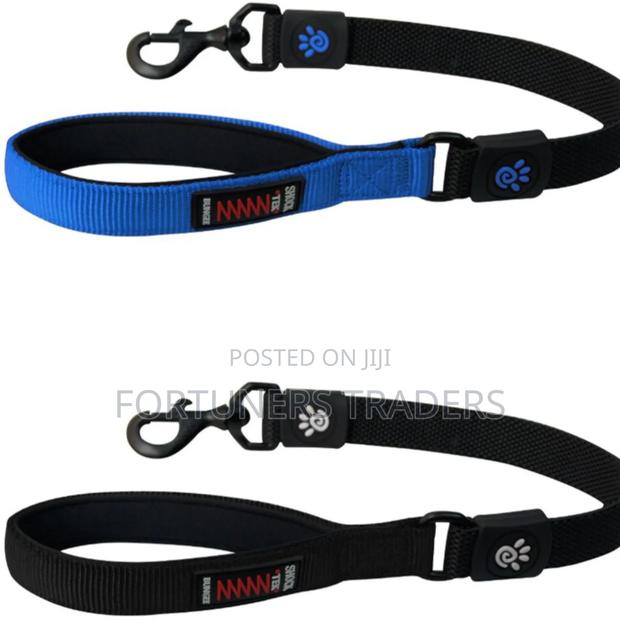 Dog Leash / Harness - main view