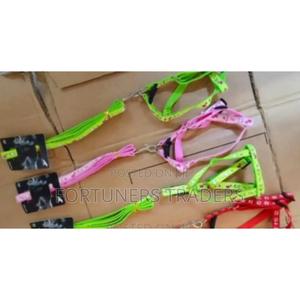 Dog Leash / Harness With Collar - main view