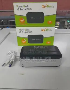 300mbps Salisky Universal Simcard Mifi +10000MAH Powerbank