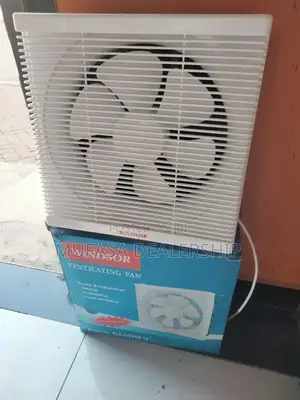 Fast Cooling Windsor Fan