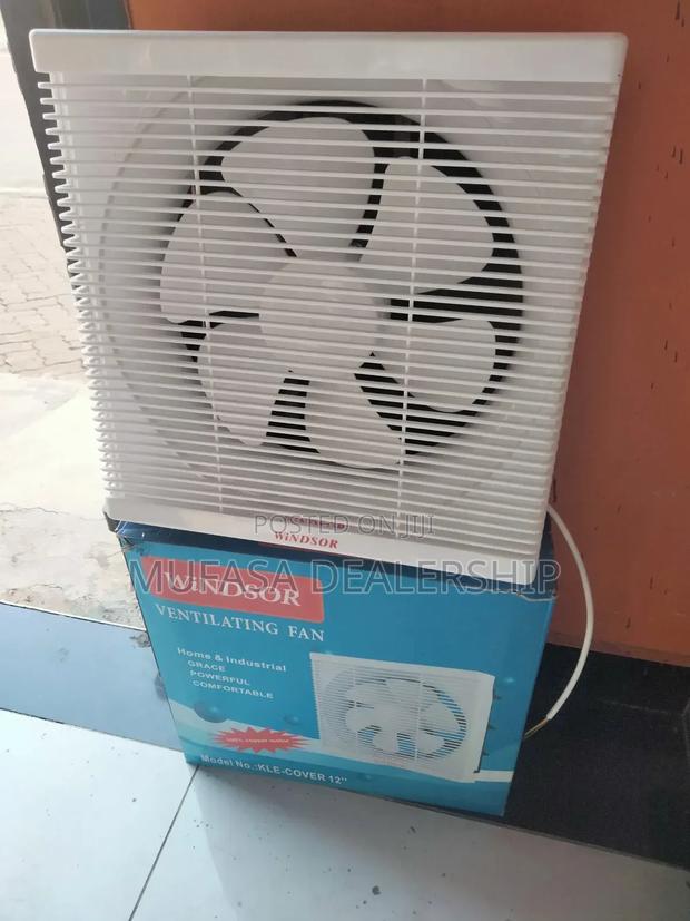 Fast Cooling Windsor Fan