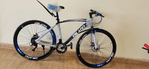Adult Sports Bike Size 26