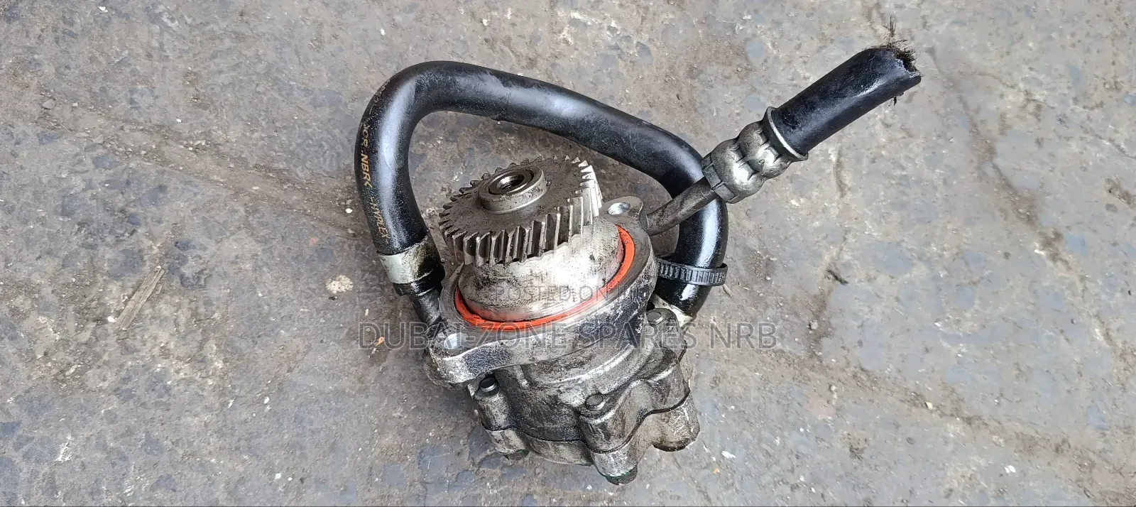 Caravan Zd30 Power Steering Pump.