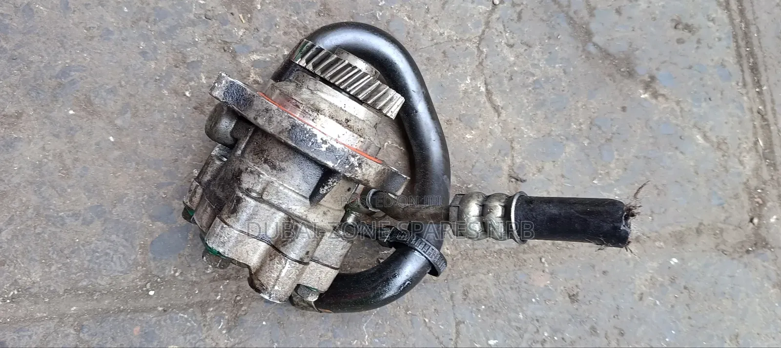 Caravan Zd30 Power Steering Pump.