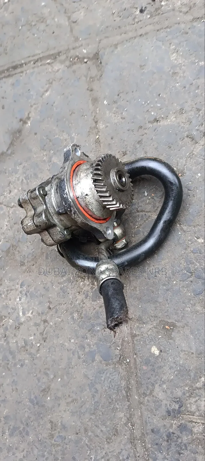 Caravan Zd30 Power Steering Pump.