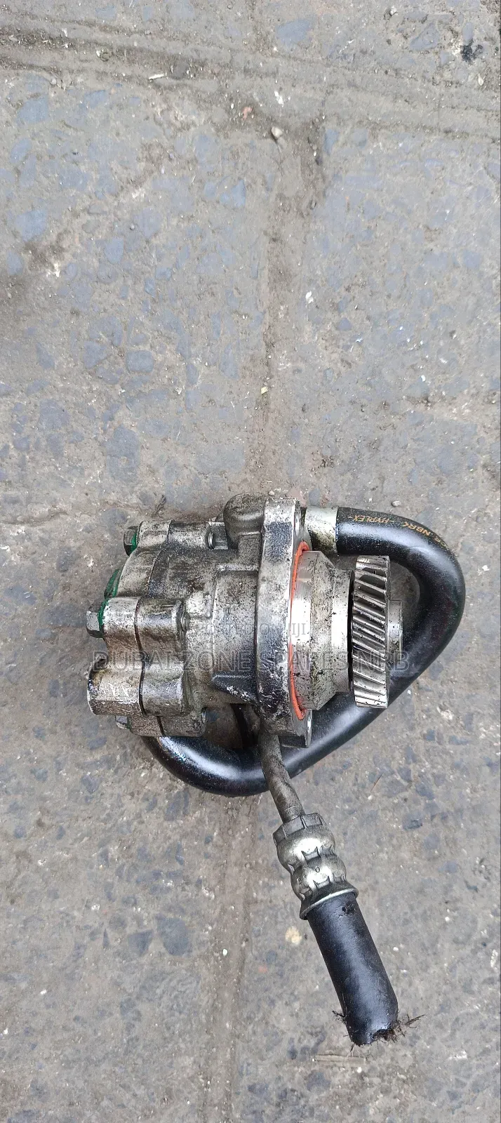 Caravan Zd30 Power Steering Pump.