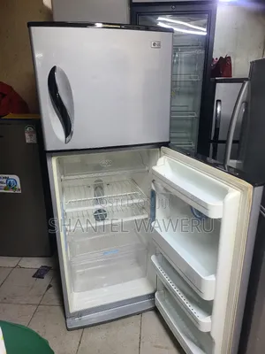 Frost Free Smart Lg Double Door Fridge 350litres