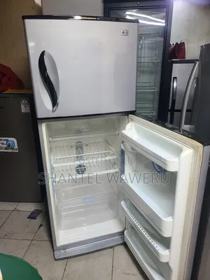 Frost Free Smart Lg Double Door Fridge 350litres