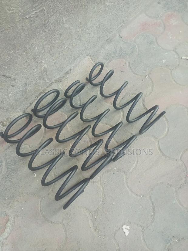 Toyota 100 Springs