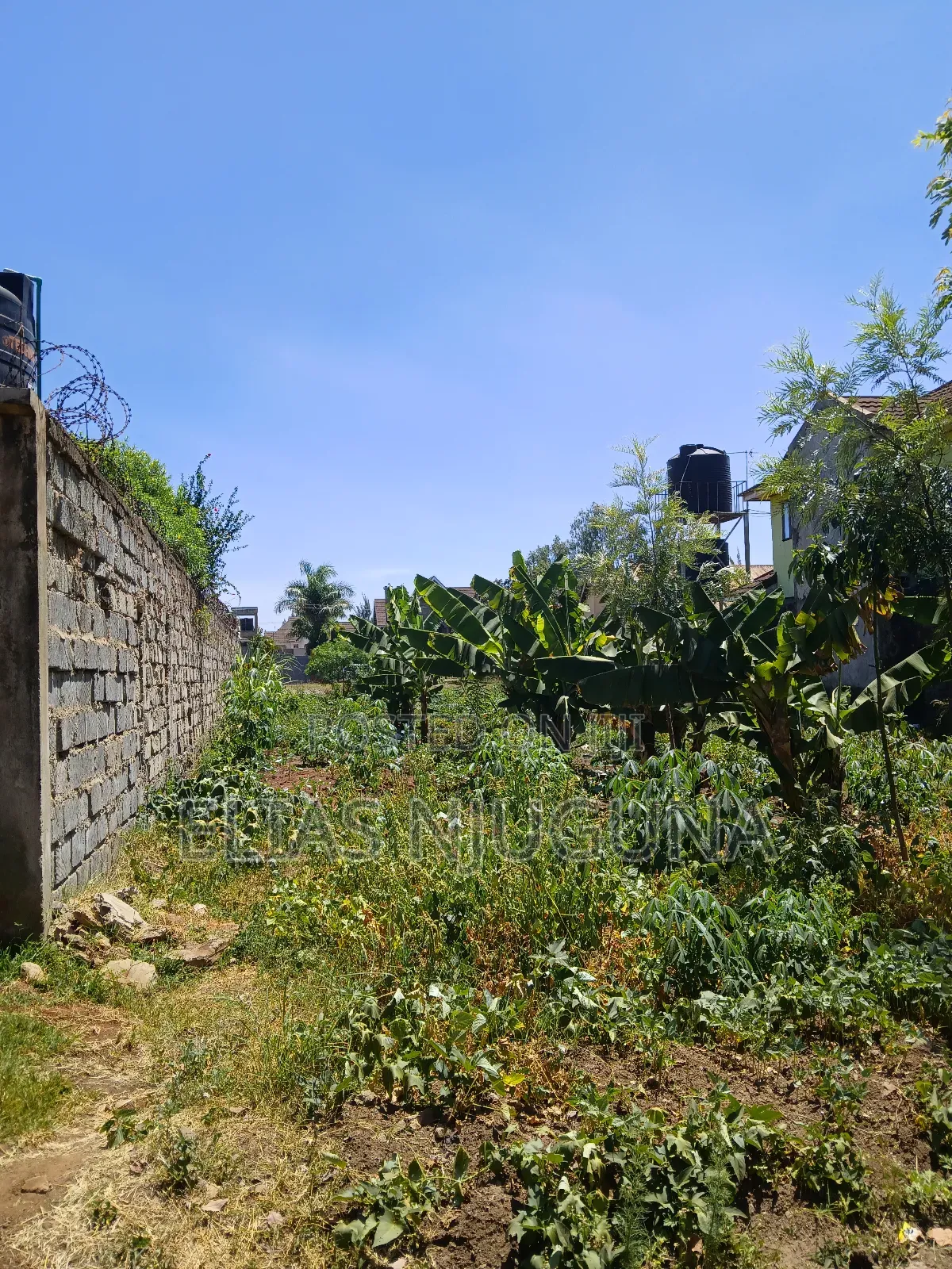 Ruiru-Membley Plot 100"×50" Sweet Court , 200m From Bypass
