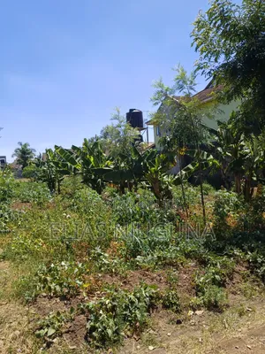 Ruiru-Membley Plot 100"×50" Sweet Court , 200m From Bypass