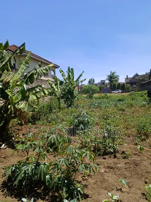 Ruiru-Membley Plot 100"×50" Sweet Court , 200m From Bypass