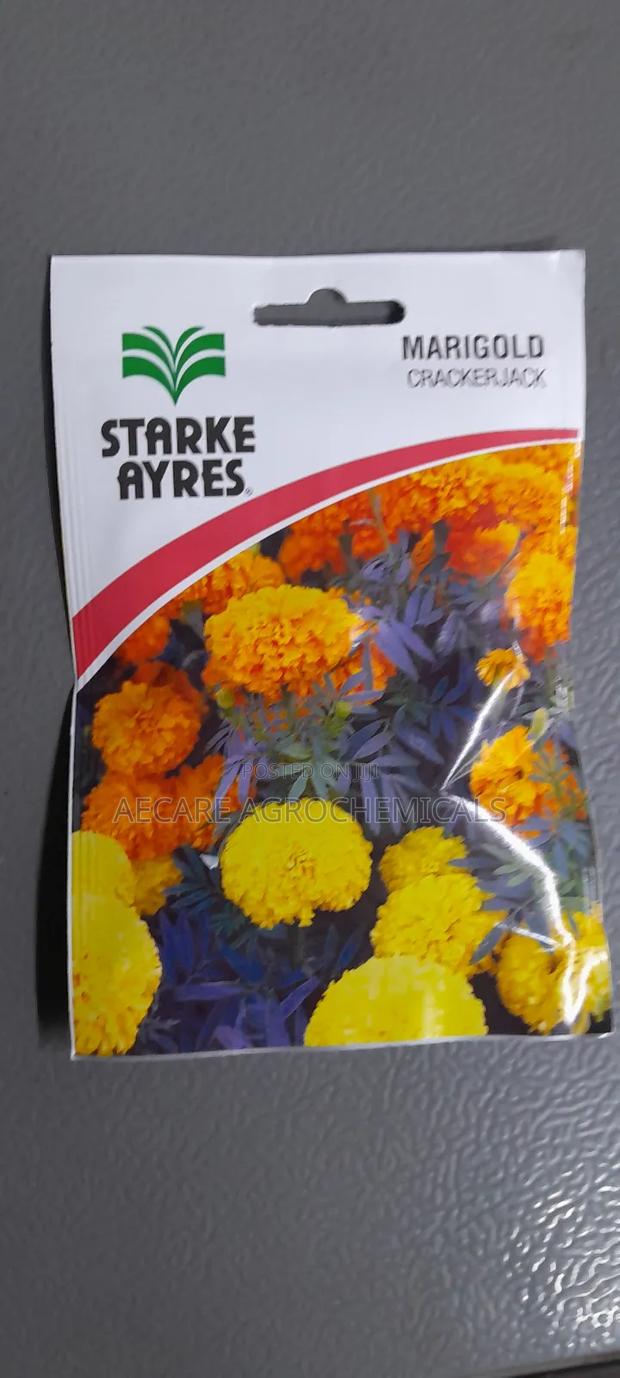 Marigold Crackerjack Flower Seeds Starke Ayres 3.6grams