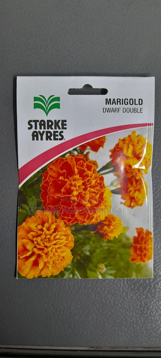 Marigold Dwarf Double Flower Seeds 1.3G - main view