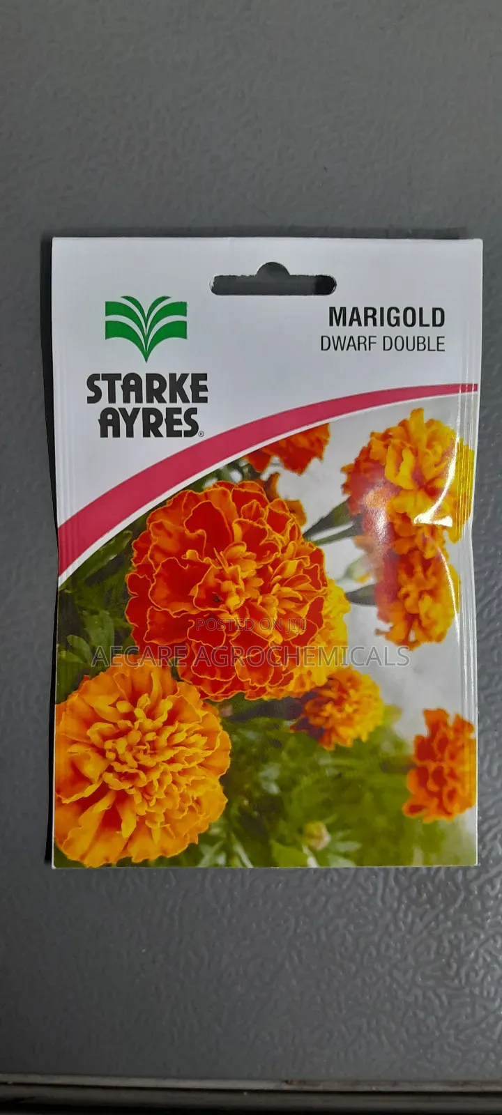 Marigold Dwarf Double Flower Seeds 1.3G