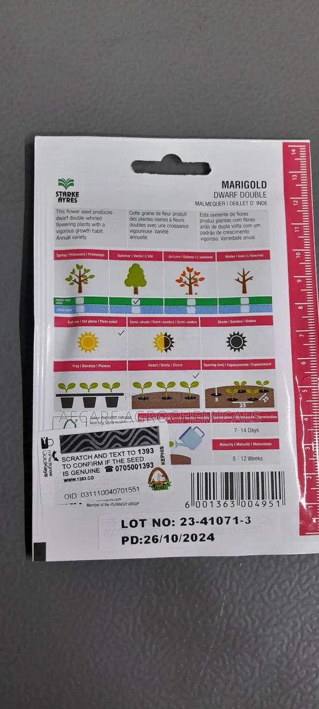 Marigold Dwarf Double Flower Seeds 1.3G - thumbnail 6