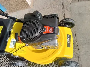 Lawn Mowers Available Now