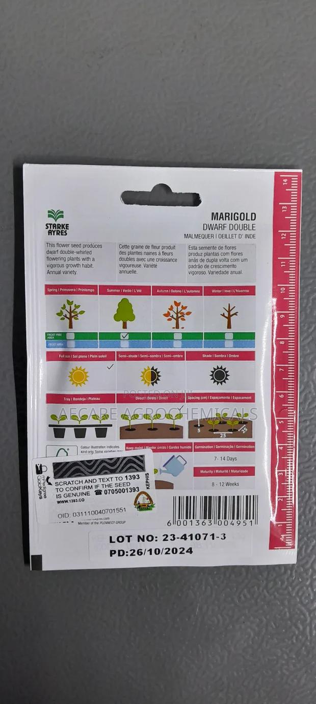 Marigold Dwarf Double Flower Seeds 1.3G - thumbnail 7