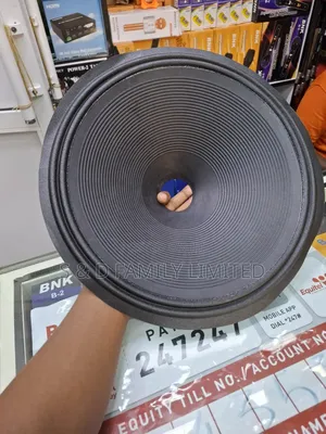 15 Inch Speaker Diaphragm