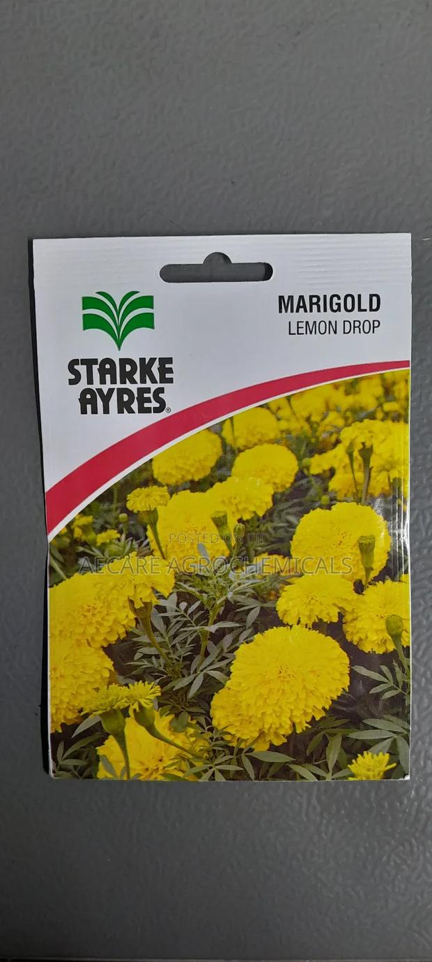 Marigold Lemon Drop Flower Seeds 0.5grams - thumbnail 2