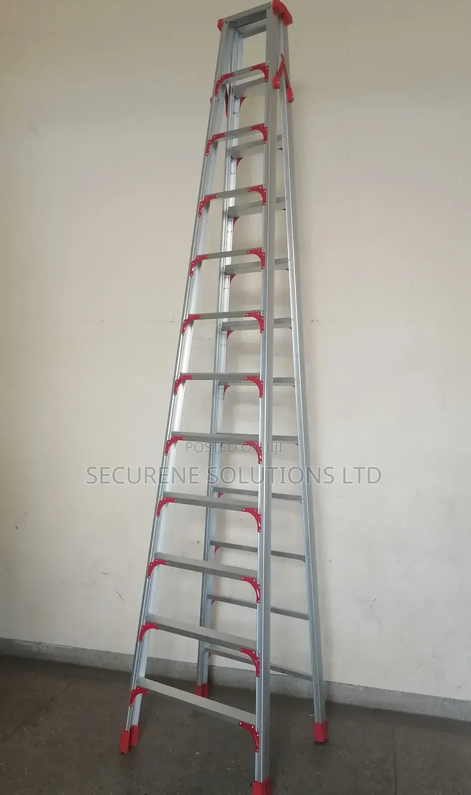 12 Step Ladder (Double Sided)