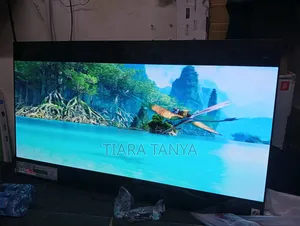 Lg 55 Inch C3 OLED TV
