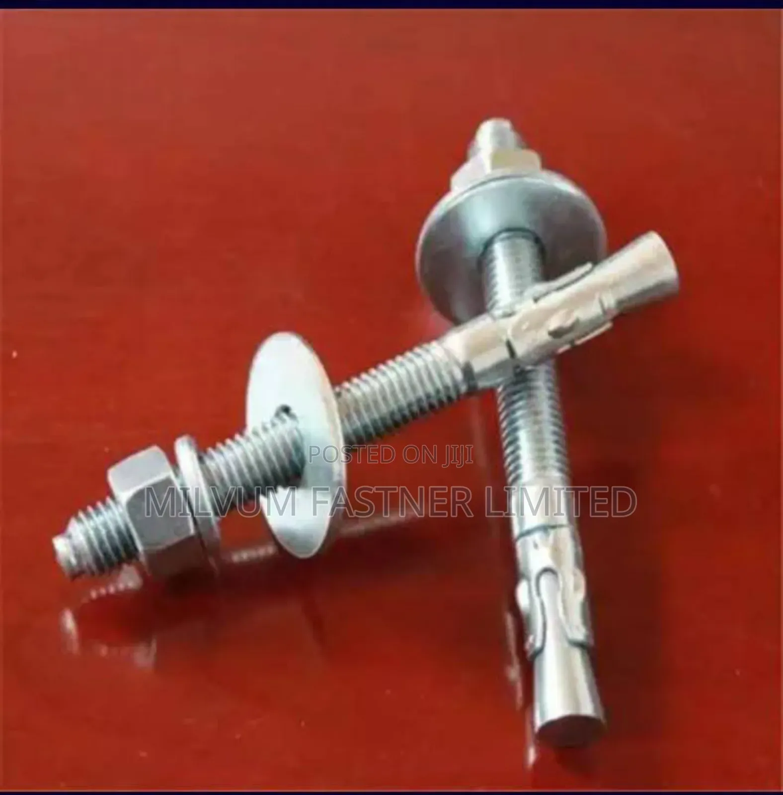 Wedge Anchor Bolts 10x100