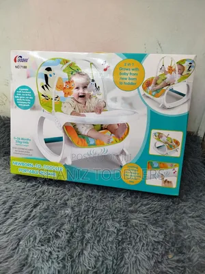 2 in 1 Infant to Toddler Rocker