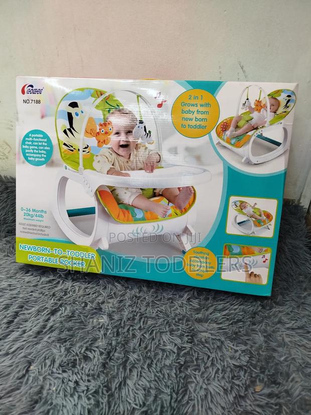 2 in 1 Infant to Toddler Rocker - main view