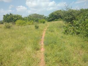 Malindi 5 Acres For Sale - thumbnail 2