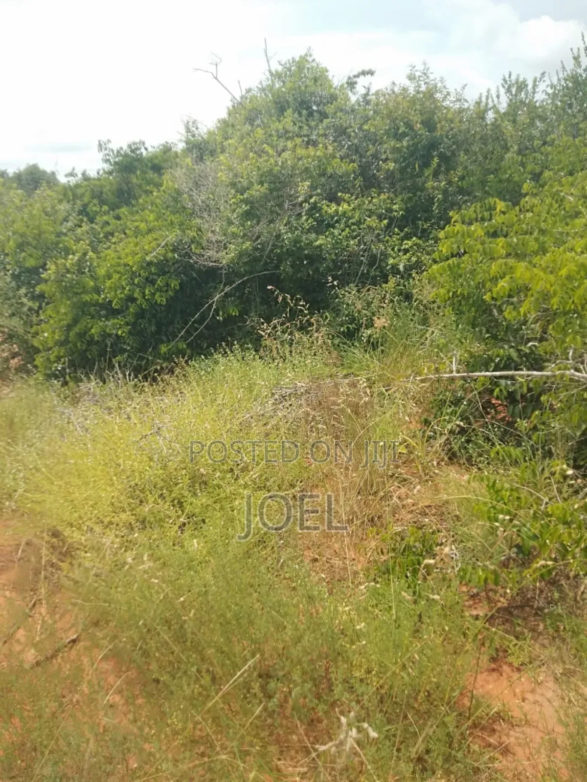 Malindi 4 Acre Land