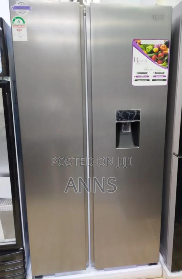 Roch 439litres With Dispenser Side by Side Fridge