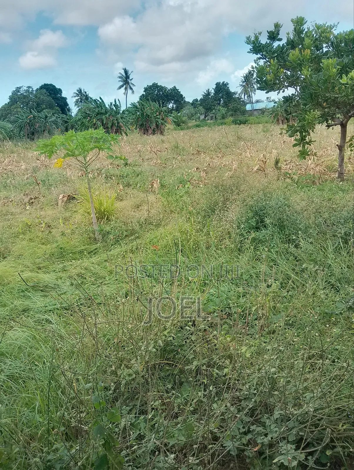 Malindi 10 Acres Ready Title Deed