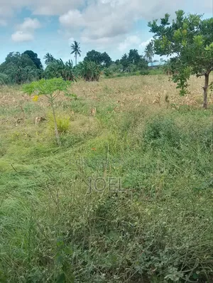 Malindi 10 Acres Ready Title Deed