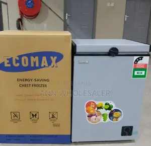 Silver Ecomax 109L Deep Chest Freezer E/109-Dl