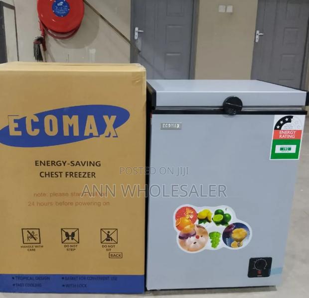 Silver Ecomax 109L Deep Chest Freezer E/109-Dl