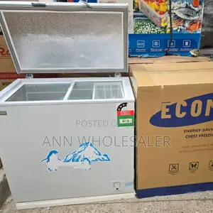 169 Litres Silver Ecomax Deep Chest Freezer E/169-Dl