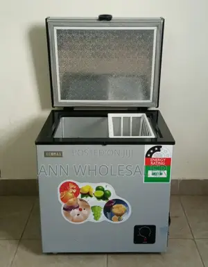 Grey 90L Ecomax Freezer E/60l-Dl