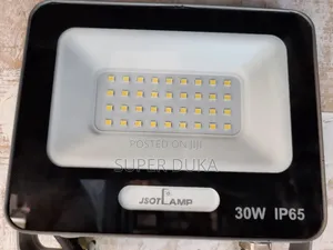 30W AC Electricity Floodlight.30 W Jsot Bright Light